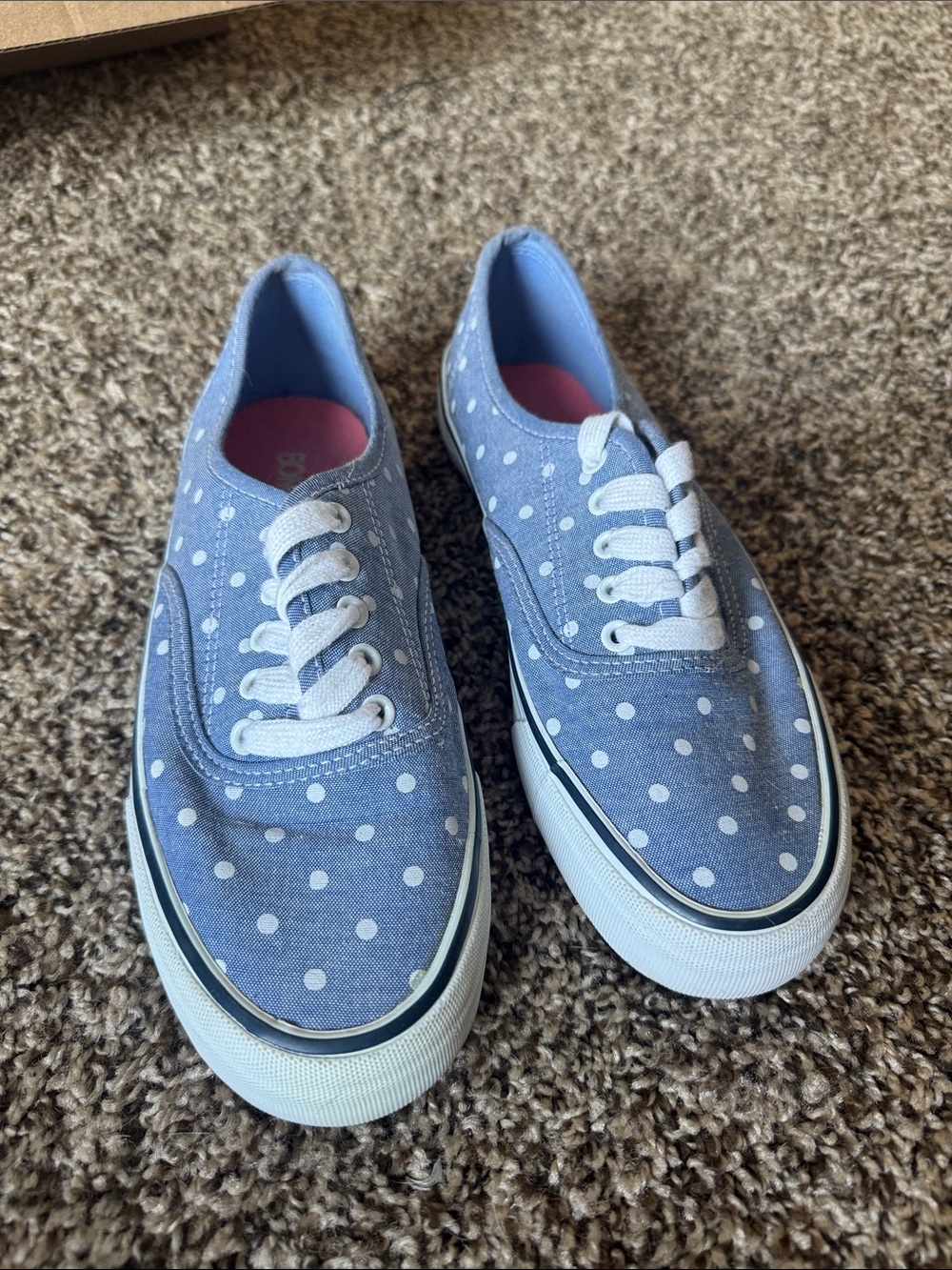 Blue Polka Dot Canvas Sneakers
